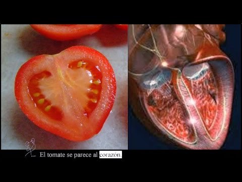 El lenguaje secreto de la Naturaleza