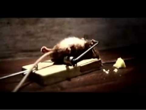 Vencer a la adversidad