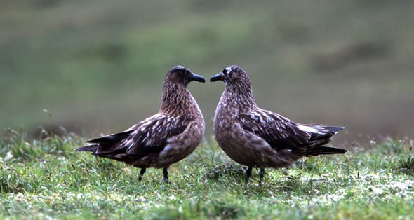 Anatomía de una relación exitosa