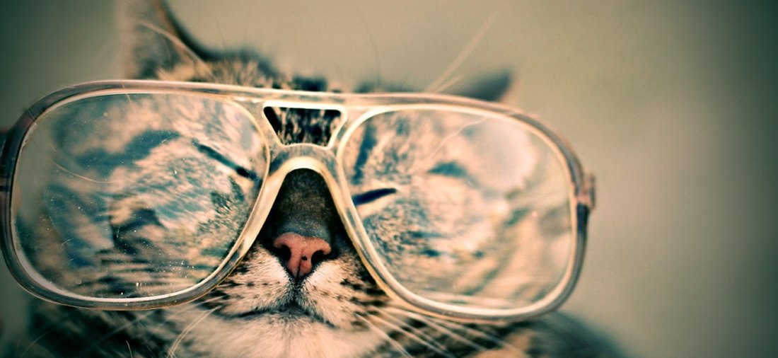 Cómo adquirir el hábito de madrugar