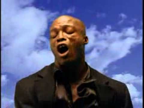 Fly like an eagle. Seal