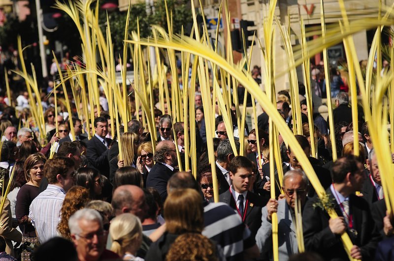 El Domingo de Ramos de Elche, un mar de palmas