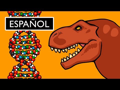 ¿Qué es el ADN y cómo funciona?