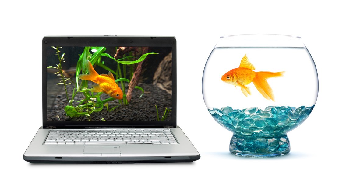 ¡Qué mala es la envidia! 