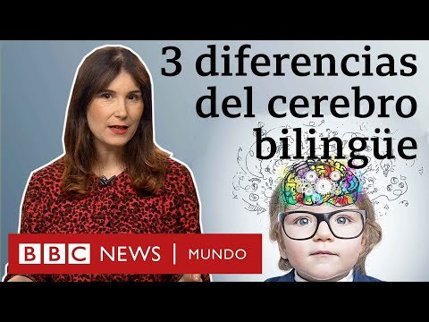 Cómo cambia tu cerebro al hablar varios idiomas
