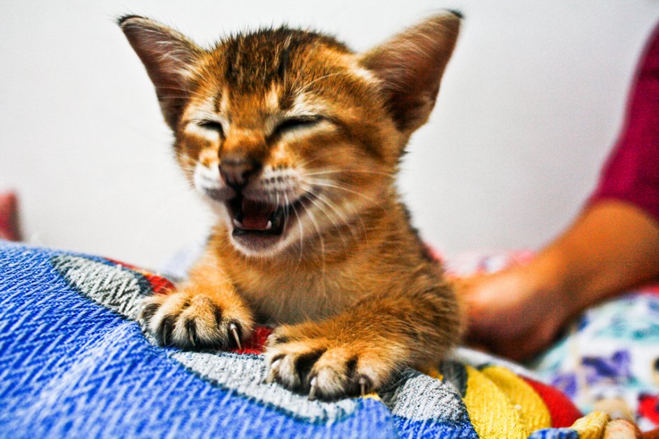 Se puede aprender a ser divertido