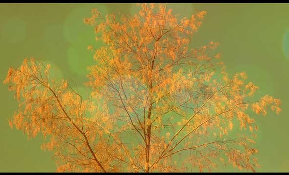 Emociones: conocerlas para aprender a manejarlas