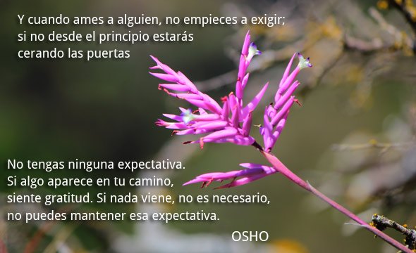 No hay exigencias en el amor.