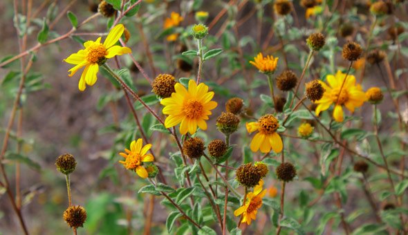 Crea tus propias oportunidades