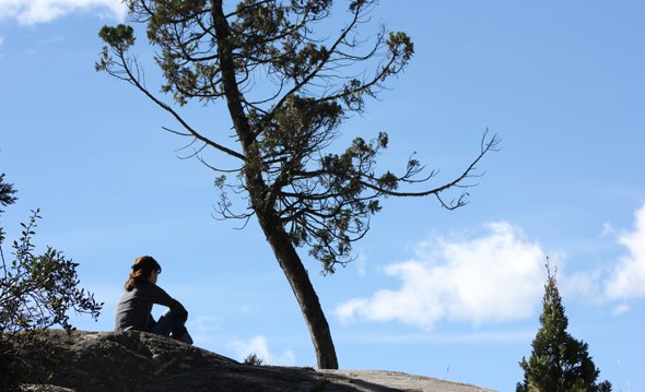 Emoción o razón: aprendiendo a sentir
