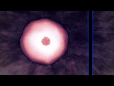 El ADN: Nuestro libro de instrucciones