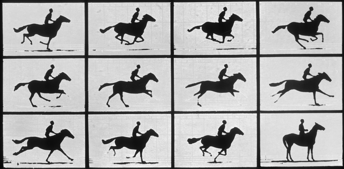 La segunda juventud de los GIFs