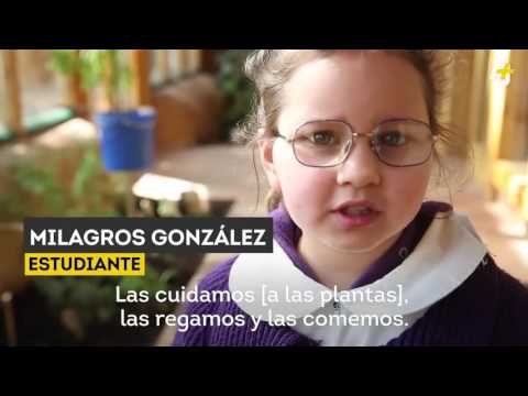 Estudiando sostenibilidad