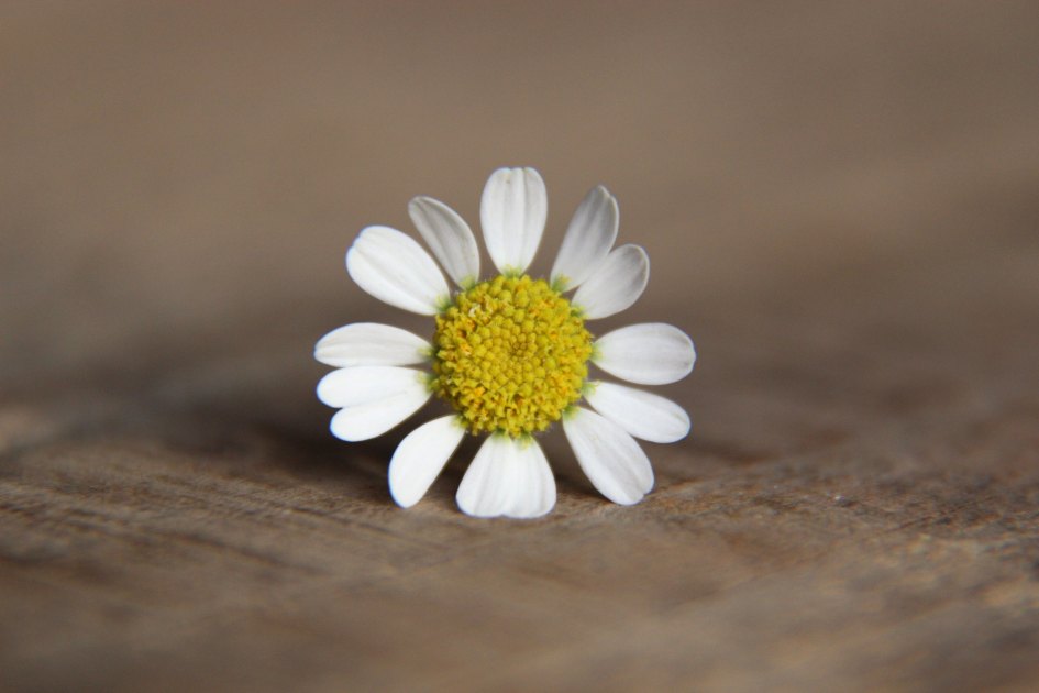 Perdonar para empezar de nuevo