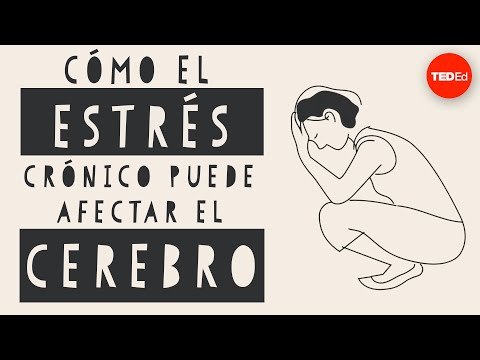 Cómo afecta el estrés a tu cerebro. Madhumita Murgia