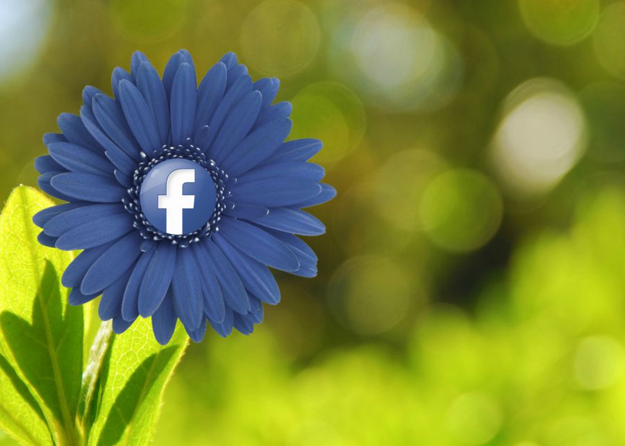 Como utilizar Facebook para conocer gente interesante
