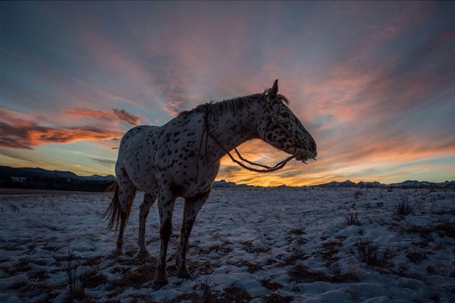 La belleza del Instagram de Emmanuel Lubezki