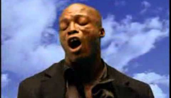 Fly like an eagle. Seal